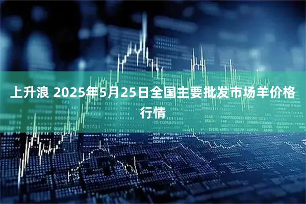 上升浪 2025年5月25日全国主要批发市场羊价格行情