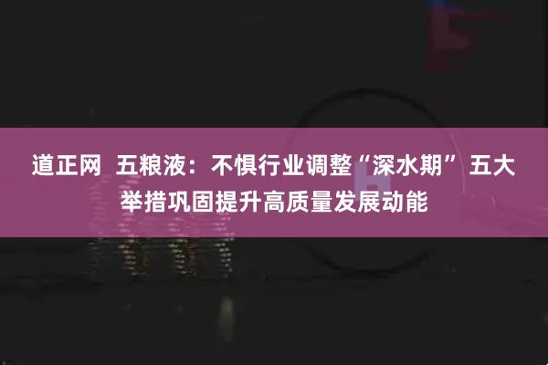 道正网  五粮液：不惧行业调整“深水期” 五大举措巩固提升高质量发展动能